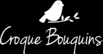 Image de www.croque-bouquins.fr
