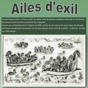 Image de Ailes d’exil