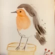 Image de Albanne R.