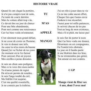 Image de Anniversaire