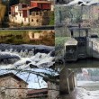 Image de Arlo G