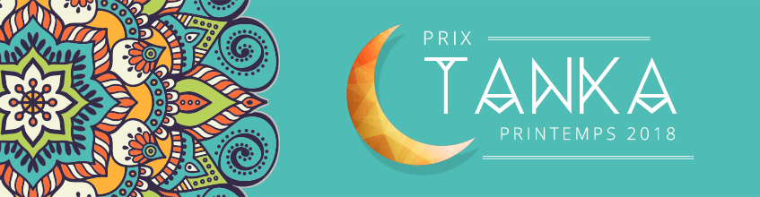 Prix tankas mode d'emploi