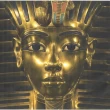 Image de Champo Lion