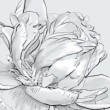 Image de Clara