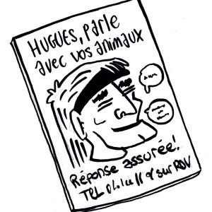 Image de Communication animale