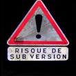 Image de Dominique Conan