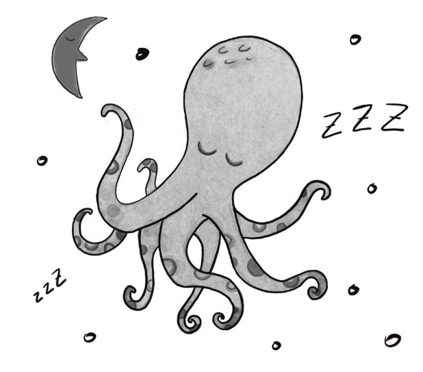 Image de Haïkus aquatiques