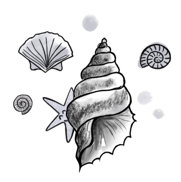 Image de Haïkus des mers