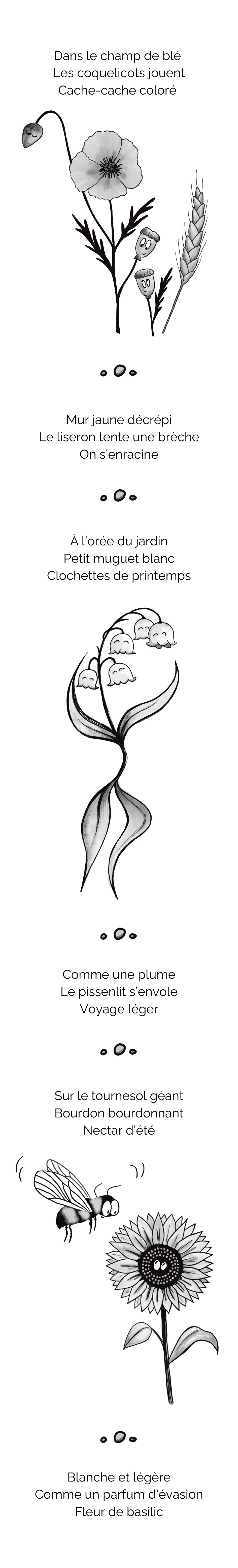 Image de Haïkus fleuris