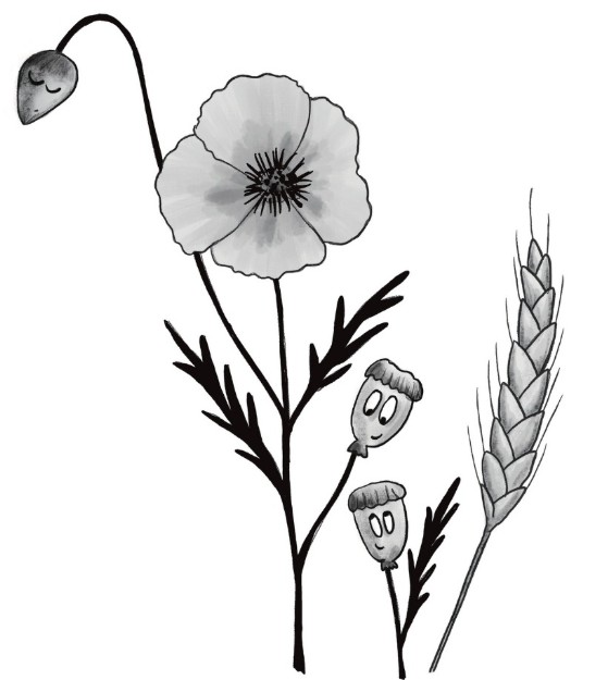 Image de Haïkus fleuris