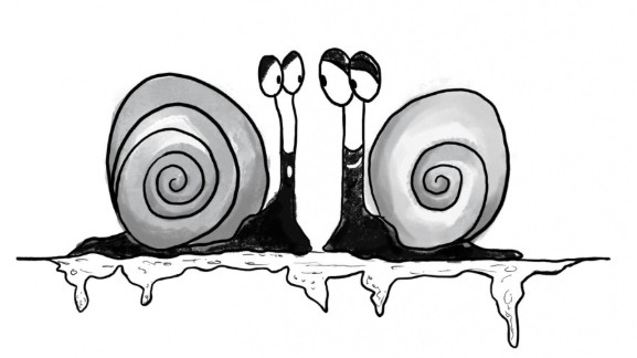 Image de Haïkus pour bestioles