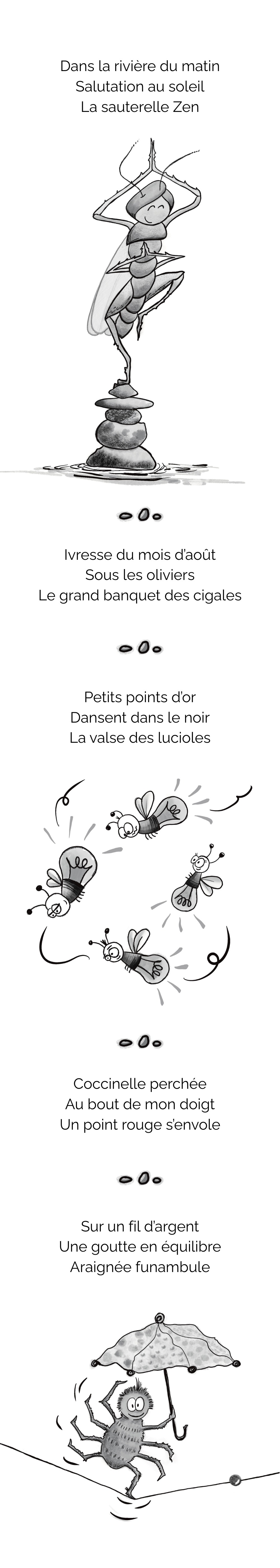 Image de Haïkus pour insectes