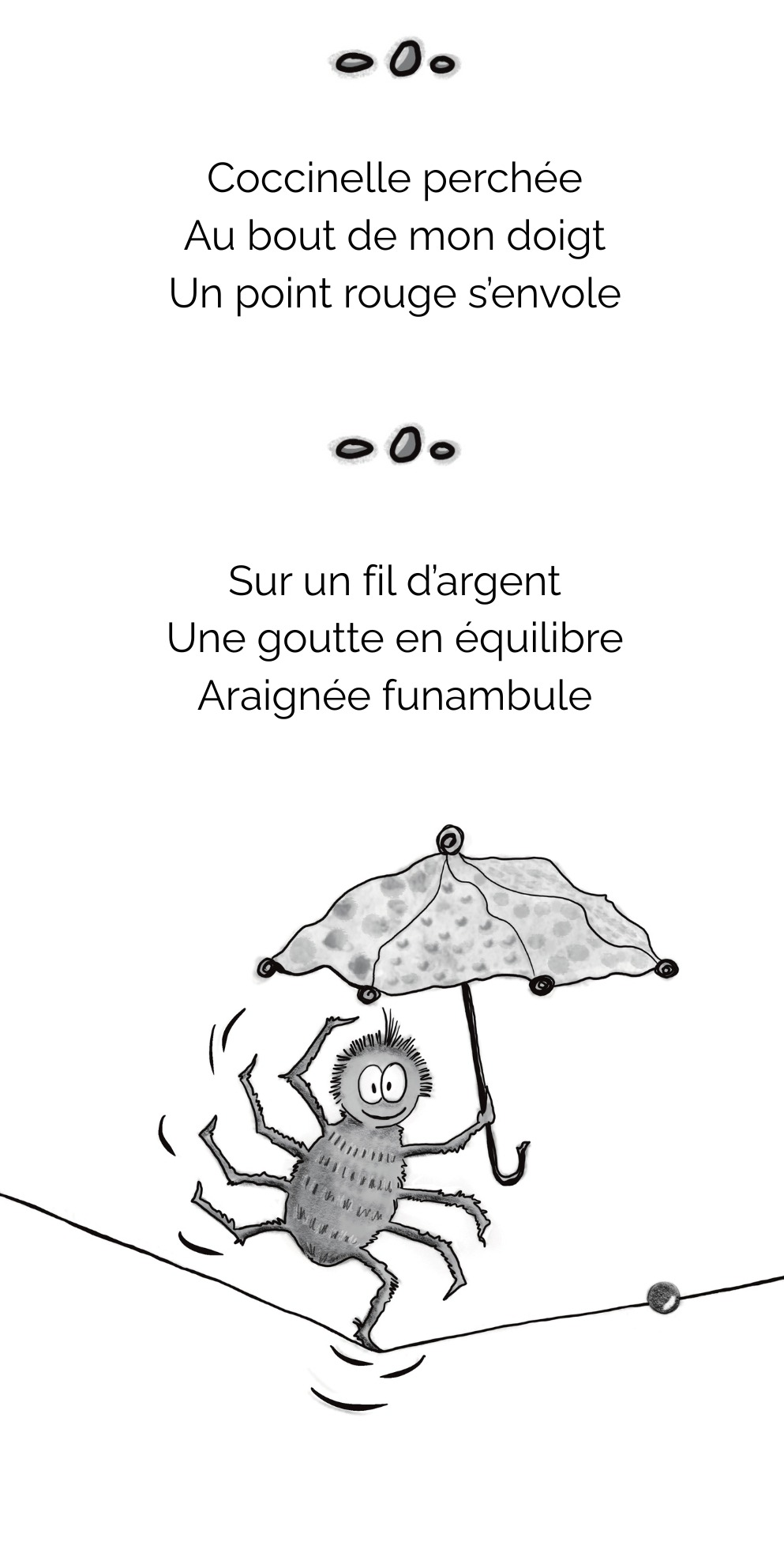 Image de Petits poèmes pour insectes