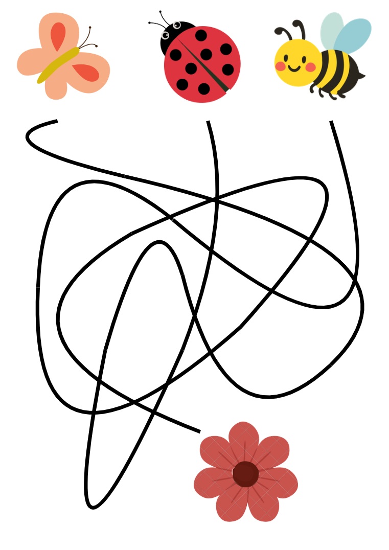 Image de Les insectes