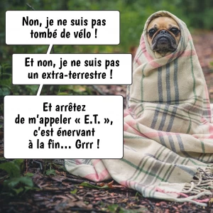 Image de INCOGNITO