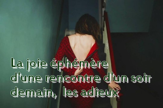 Image de La joie éphémère