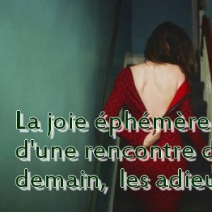 Image de La joie éphémère