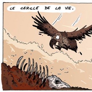 Image de Le cercle de la vie