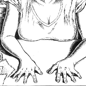 Image de Le choix de Cécile