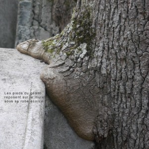 Image de le géant de bois