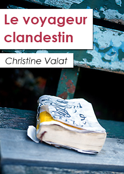 Image de Le voyageur clandestin
