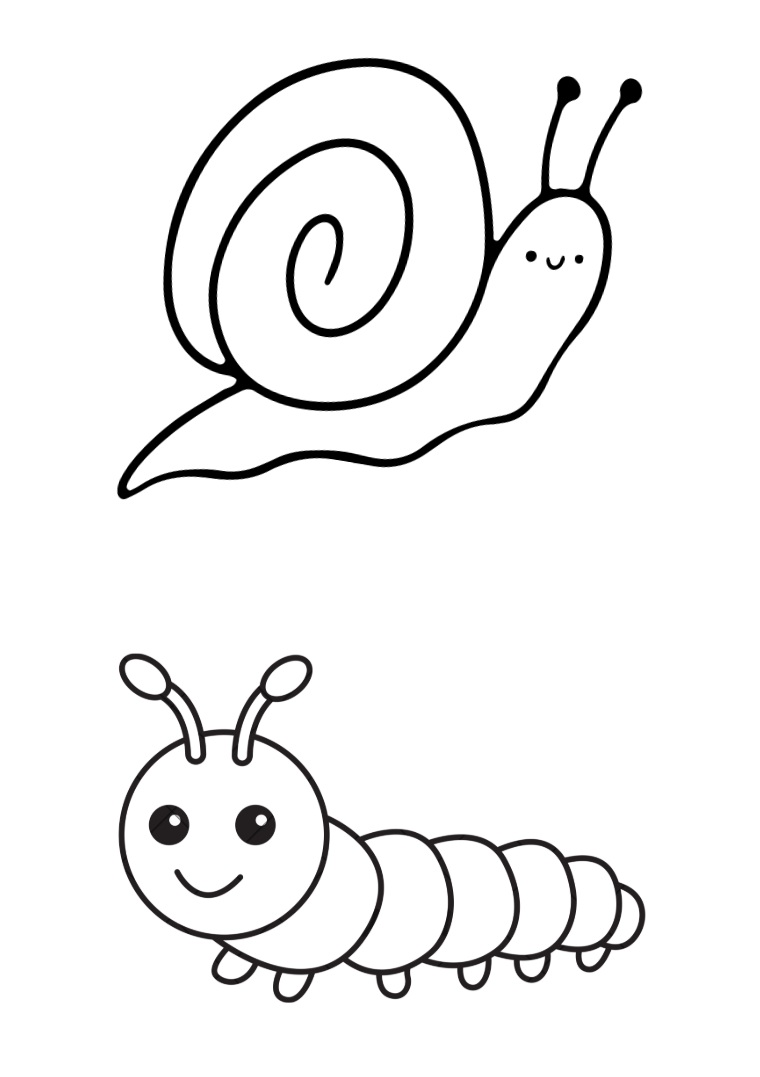 Image de Les petites bêtes du jardin