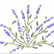 Image de Marie Provence
