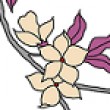 Image de Naliyan
