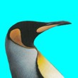 Image de Pingouin Dupuis