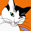 Image de Plume Le chat