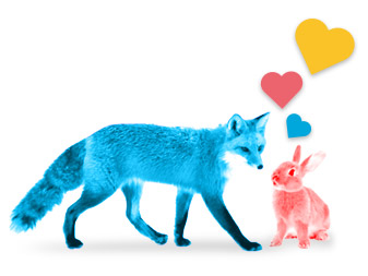 renard-lapin