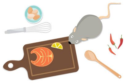 Rencontre inattendue d'une souris