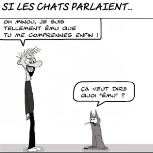Image de Sa langue au chat