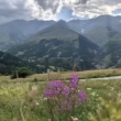 Image de Juliette Makubowski