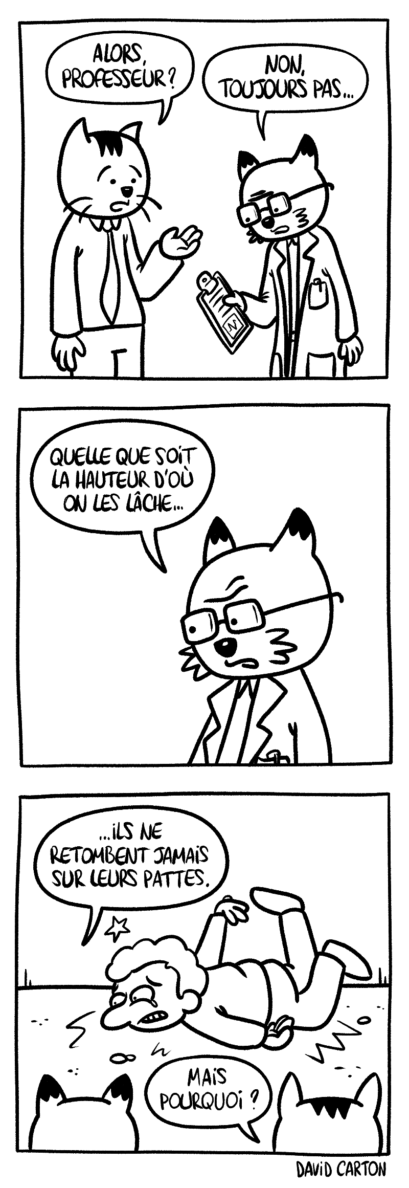 Image de Science féline