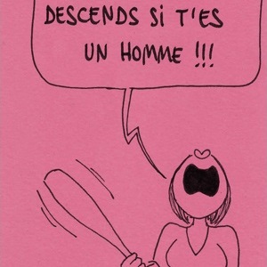 Image de Voler dans les plumes