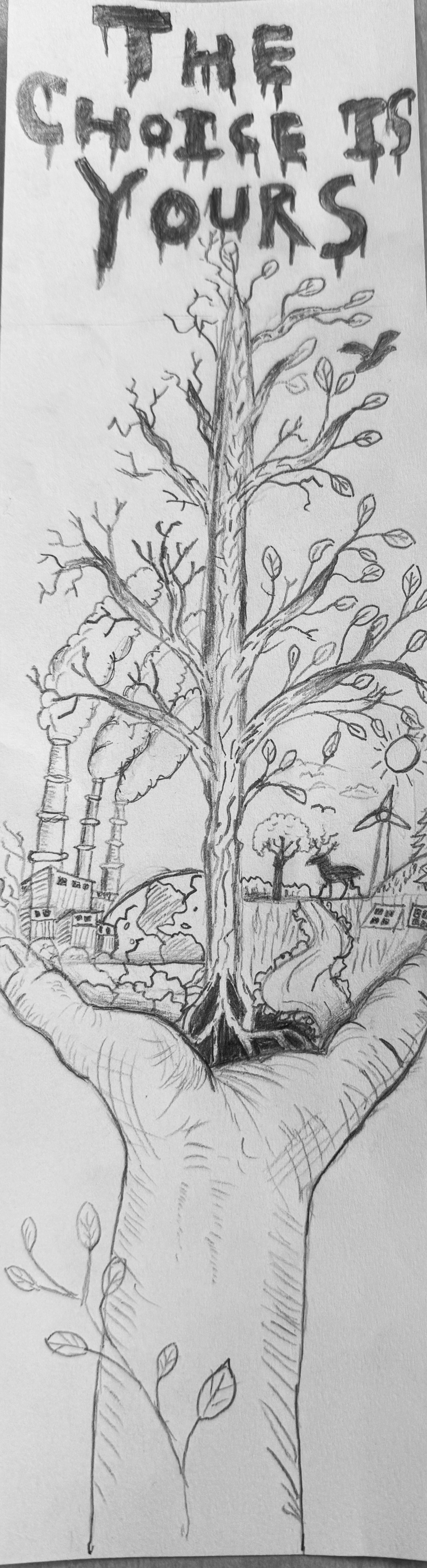 Image of Winner - 2026 Sustainability Art Contest